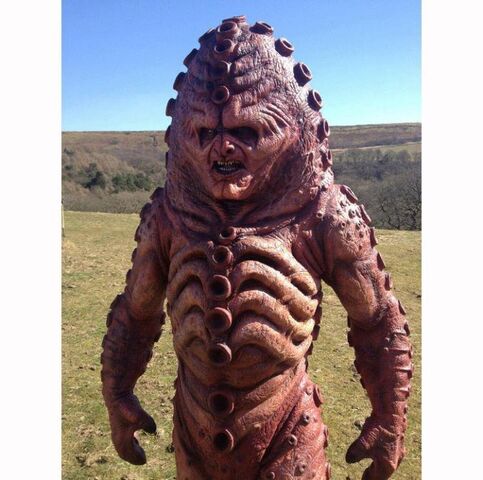 File:2013zygon.jpg