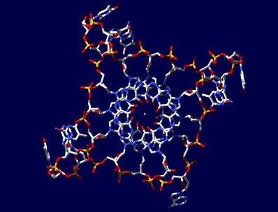Supergene