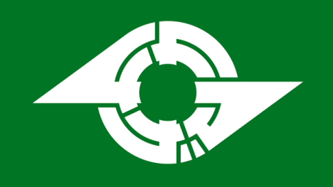 Flag 111
