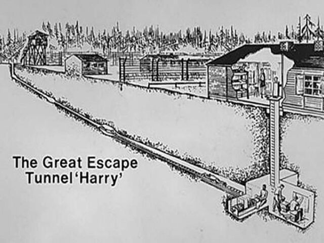 File:Harry.jpg