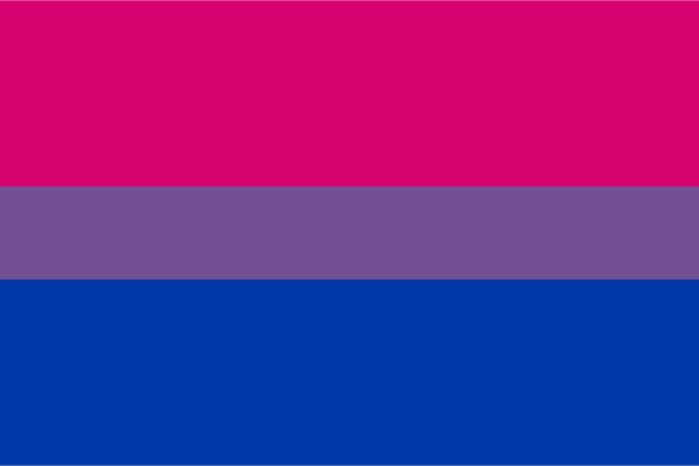 File:Bisexual Flag.png