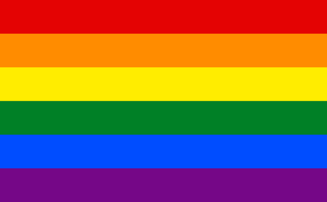 File:Gay Flag.png