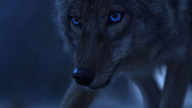 File:314titleimage-original.jpg