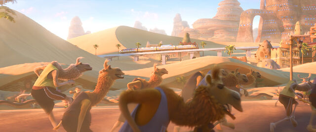 File:Camel race.jpg