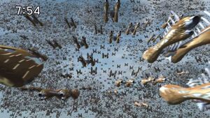 Zangyack extra large fleet