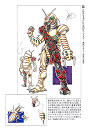 Shiroarinejireconceptart