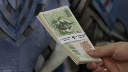 ZaginCurrency.png
