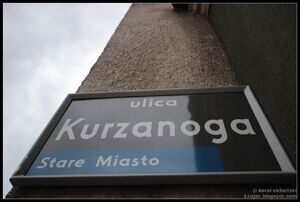 Kurzanoga