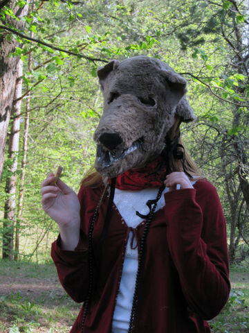 File:Cookie Gnoll.jpg