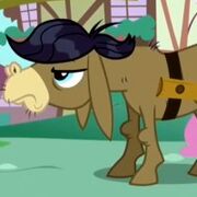 Cranky-doodle-donkey-foto.jpg
