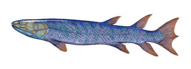 File:Eusthenopteron.jpg
