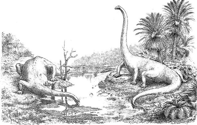 File:Diplodocus4.jpg