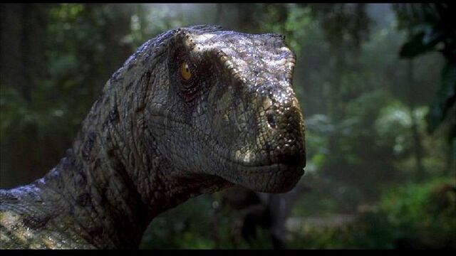 File:VELOCIRAPTOR-JURASSIC-PARK-1-.jpg