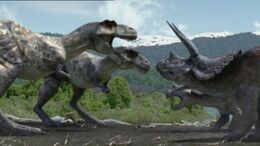 1x1 TriceratopsVSTyrannosaurus