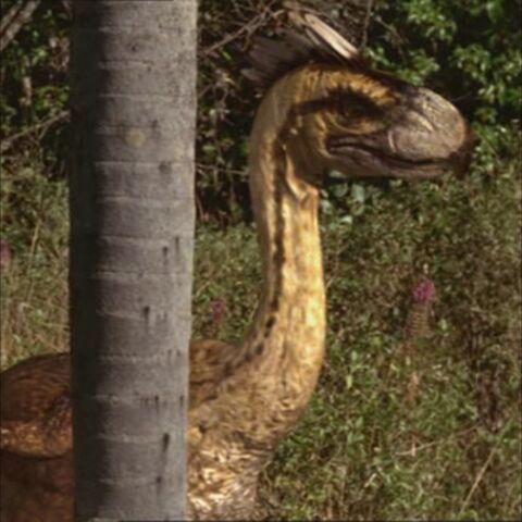 File:PhorusrhacosPortrait.jpg