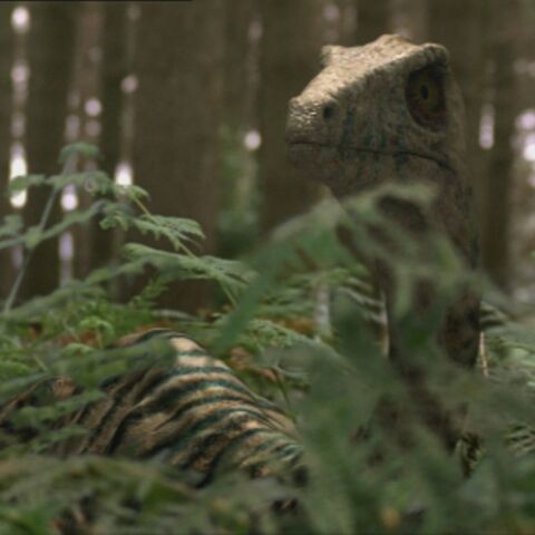 File:TroodonPortrait.jpg