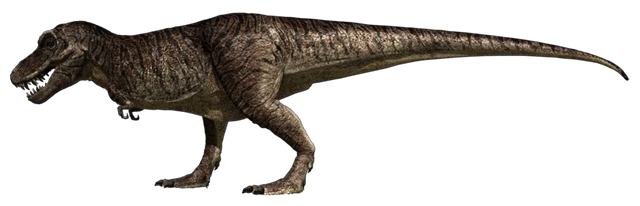 File:Tyrannosaurus Rex JFC.png