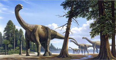 Rm camarasaurus jpg