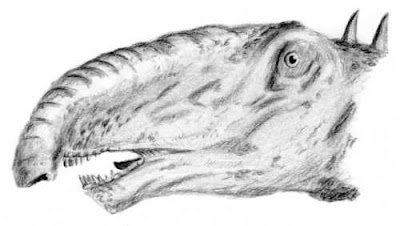 Diplodocus trompa.jpg