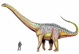 Amphicoelias.jpg