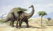 Apatosaurio 2