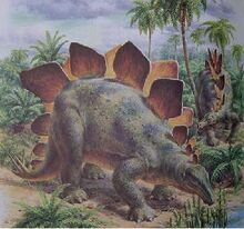 Muhuru stegosaurus