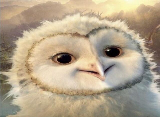 File:Babyowl.jpg