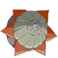 File:Kowaina 11.jpg