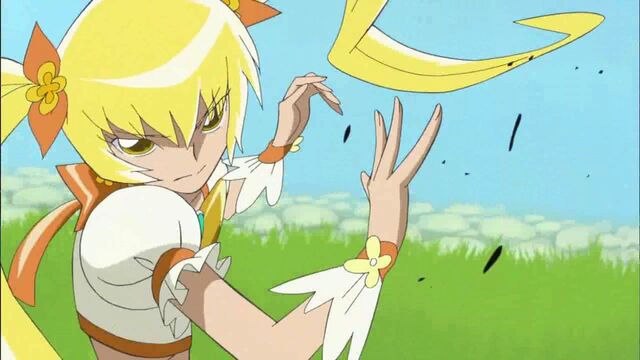 File:HeartCatch Pretty Cure -32.jpg