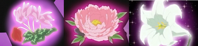 Flores Corazones.png