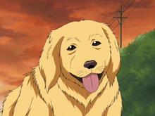 Chuutaro