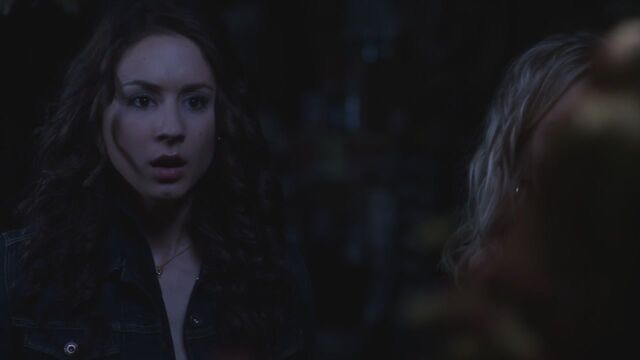 File:PLL224-01064.jpg