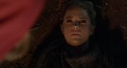 Red Coat Revealed
