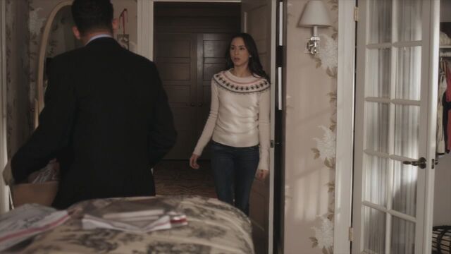 File:PLL120-0023.jpg