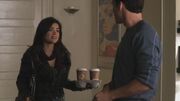 PLL114-0391