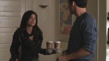 PLL114-0391.jpg
