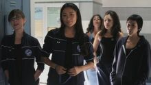 PLL116-0787.jpg
