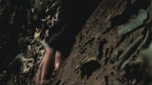 PLL114-0470.jpg