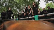 PLL205-0766.jpg