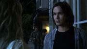 PLL209 (8)