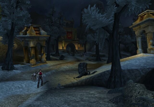 File:The forest.jpg