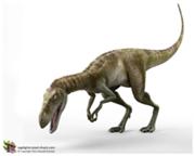 File:Staurikosaurus.jpg