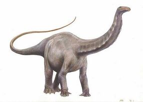 Apatosaurus2