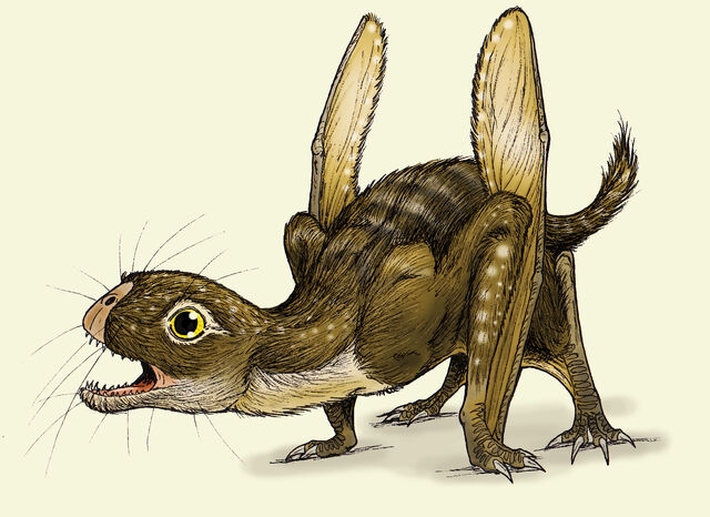 File:Jeholopterus.jpg
