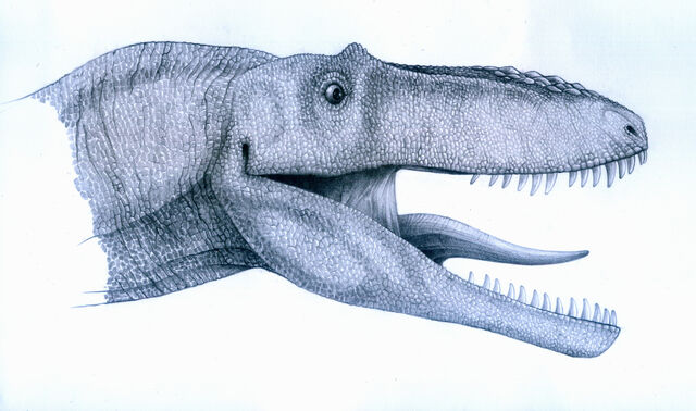 File:Alioramus Head.jpg