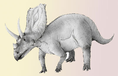 Chasmosaurus