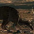 Thumbnail for version as of 23:40, June 24, 2013