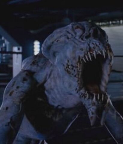 File:Pred.jpg