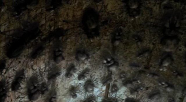 File:1x2spidersOnCeiling.jpg