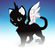 Felis
